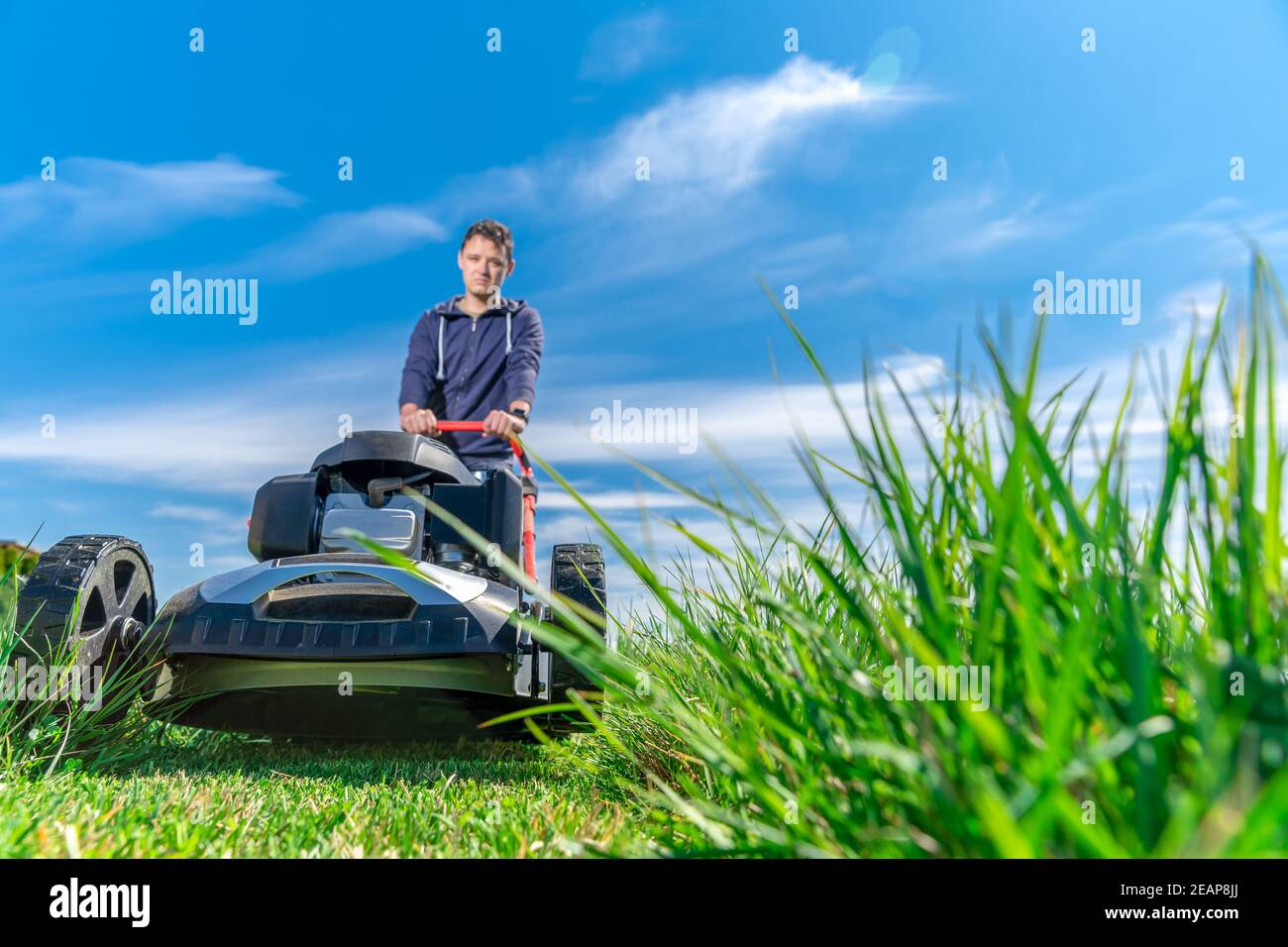 Man mows the lawn with a lawn mower. copy space Stock Photo