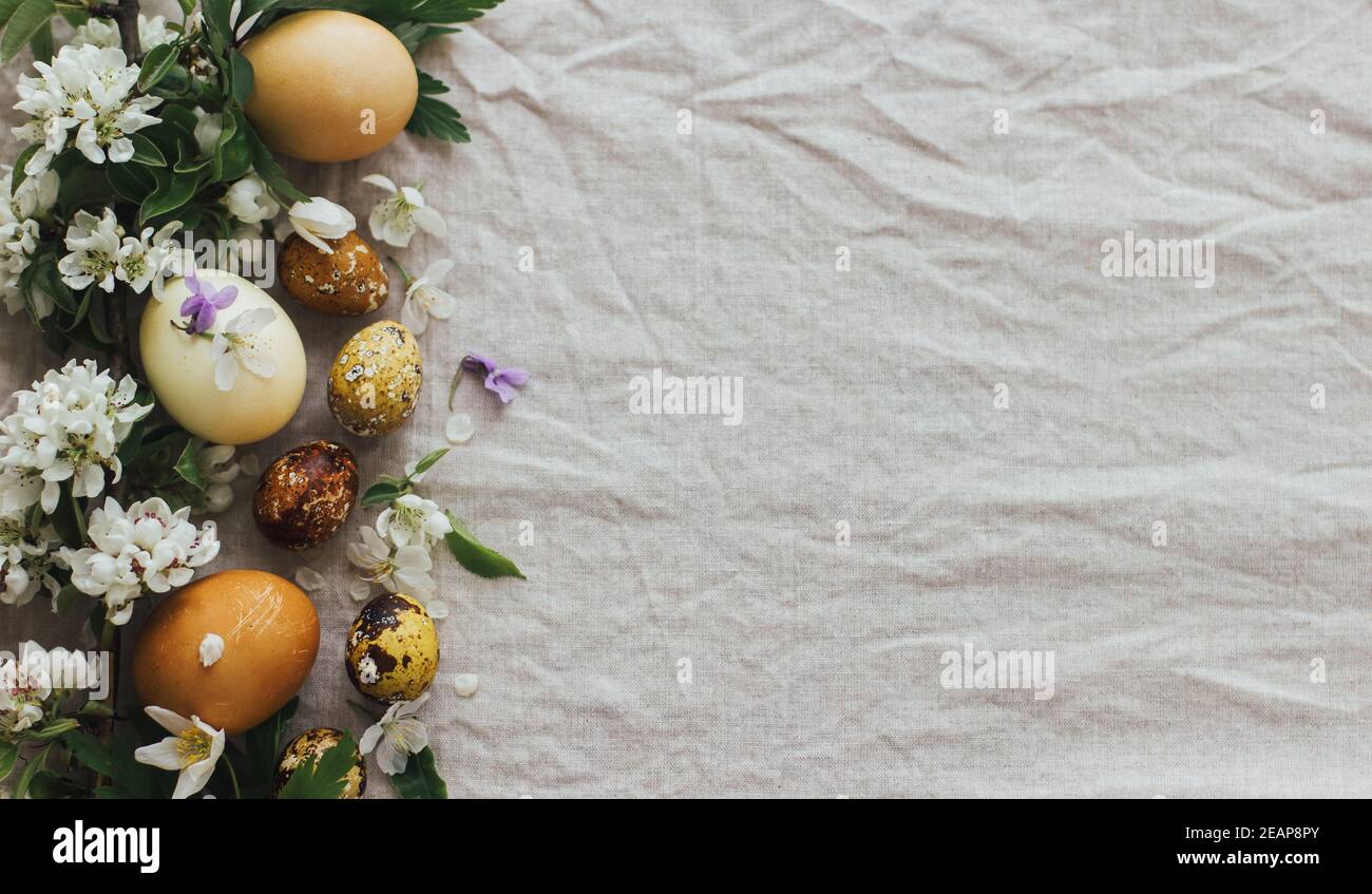 Easter eggs with spring flowers on rustic linen background, flat lay ...