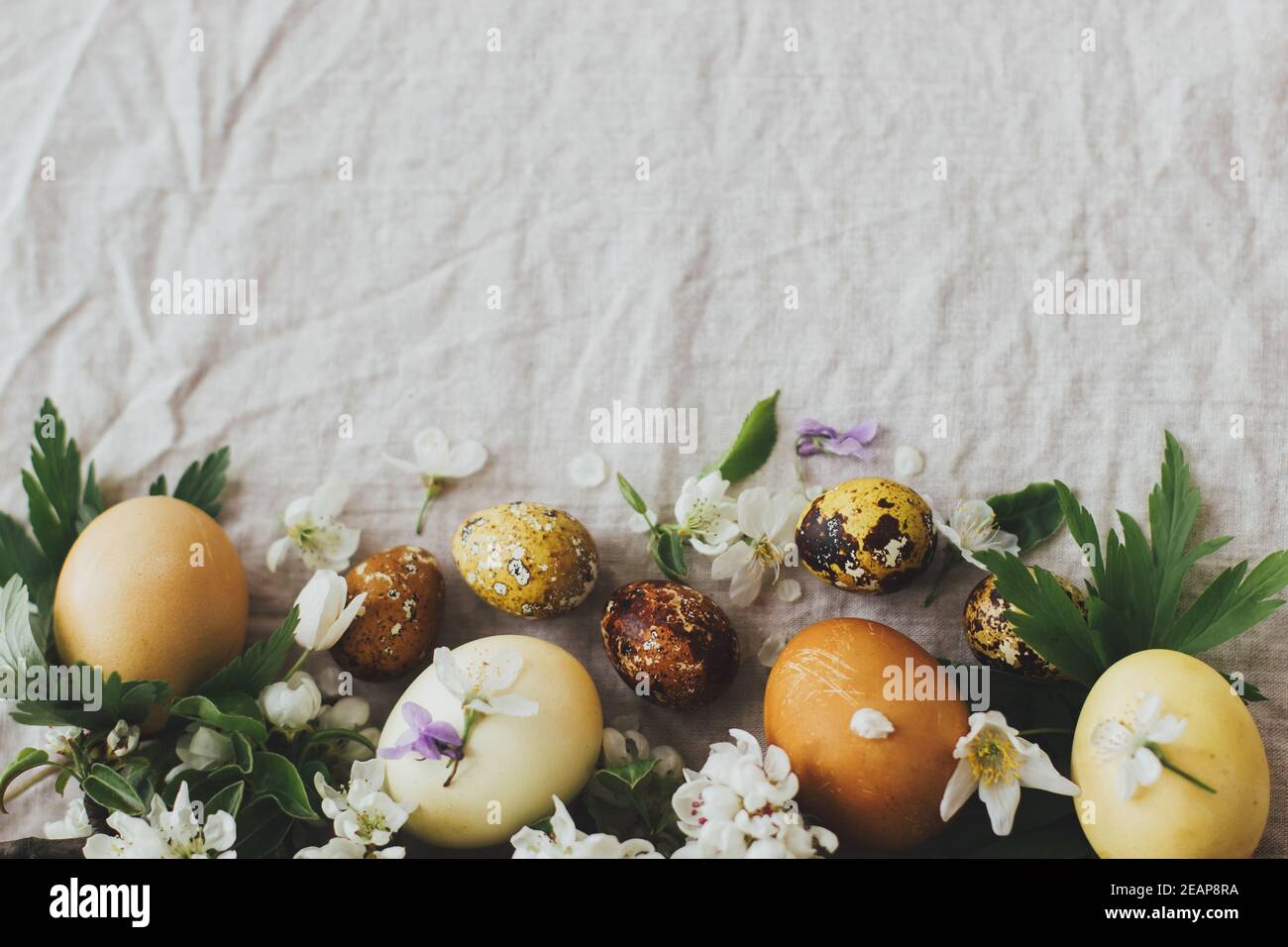 Easter eggs with spring flowers on rustic linen background, flat lay ...