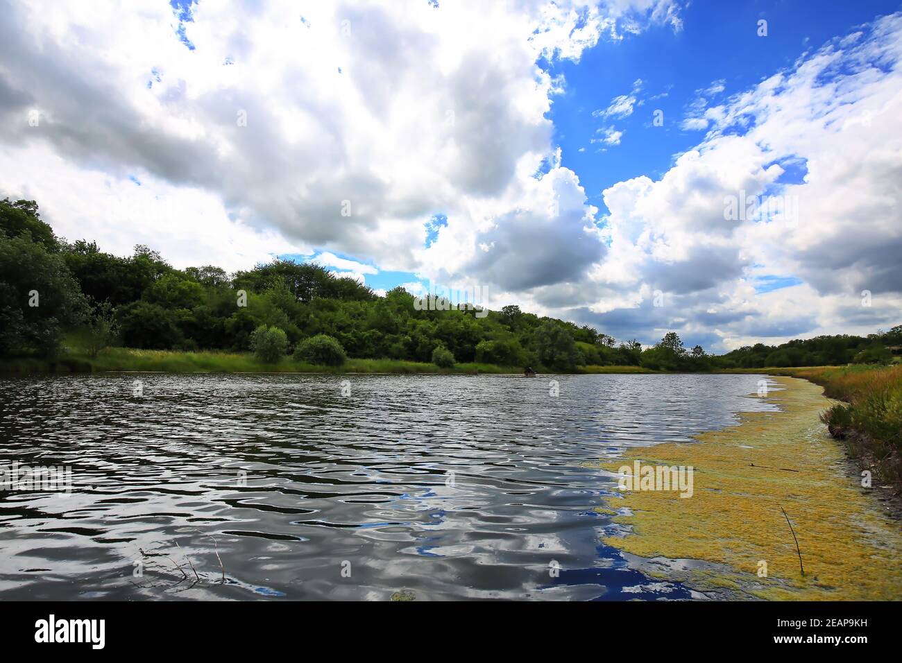 Salt springs hi-res stock photography and images - Alamy