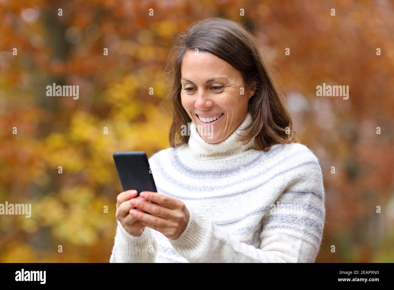 Happy middle age woman using phone in fall in a park Stock Photo