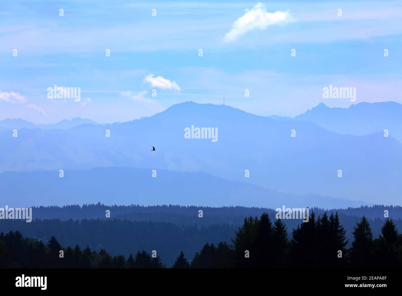 Alpine panorama Stock Photo