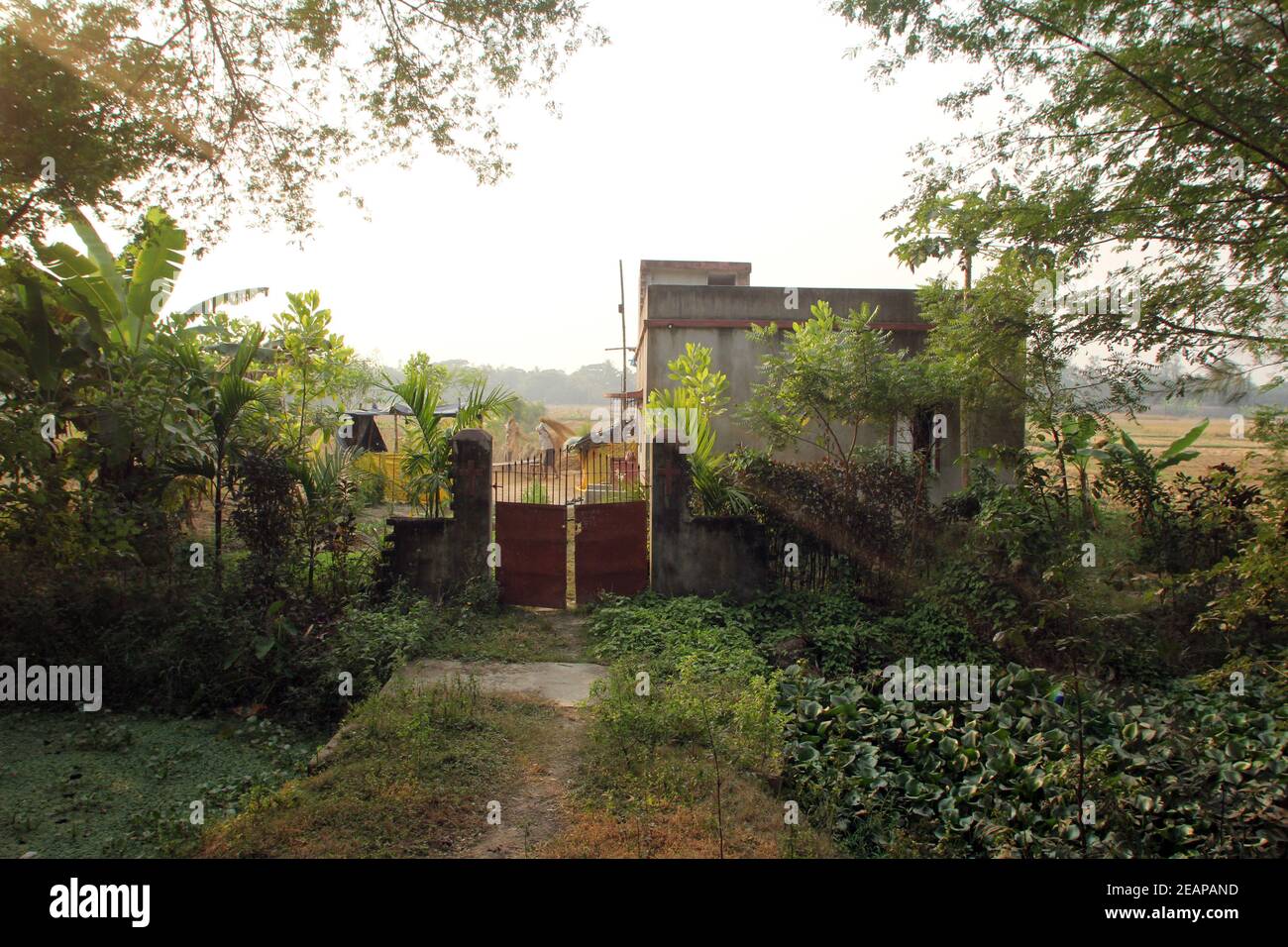 Bengali village Baidyapur, India Stock Photo Alamy