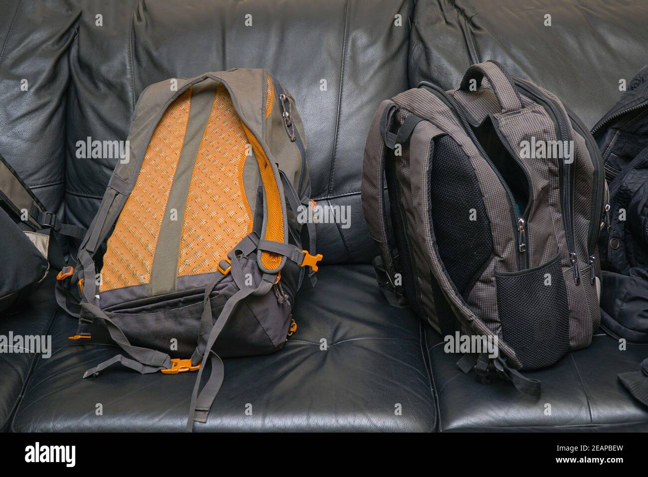 Two backpacks on a black leather sofa Stock Photo - Alamy