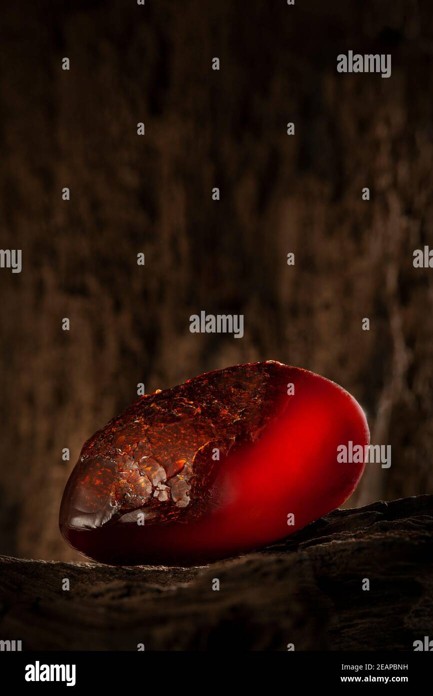 Beauty of natural raw amber. A piece of dark red semi transparent