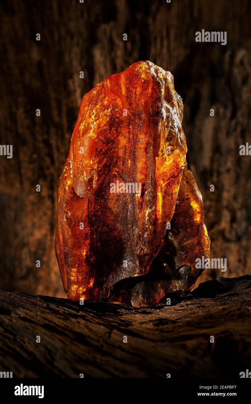 Beauty of natural raw amber. A piece of yellow opaque natural amber on