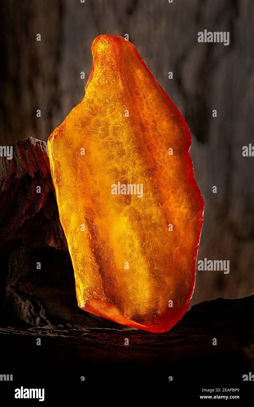 Beauty of natural raw amber. A piece of yellow opaque natural amber on