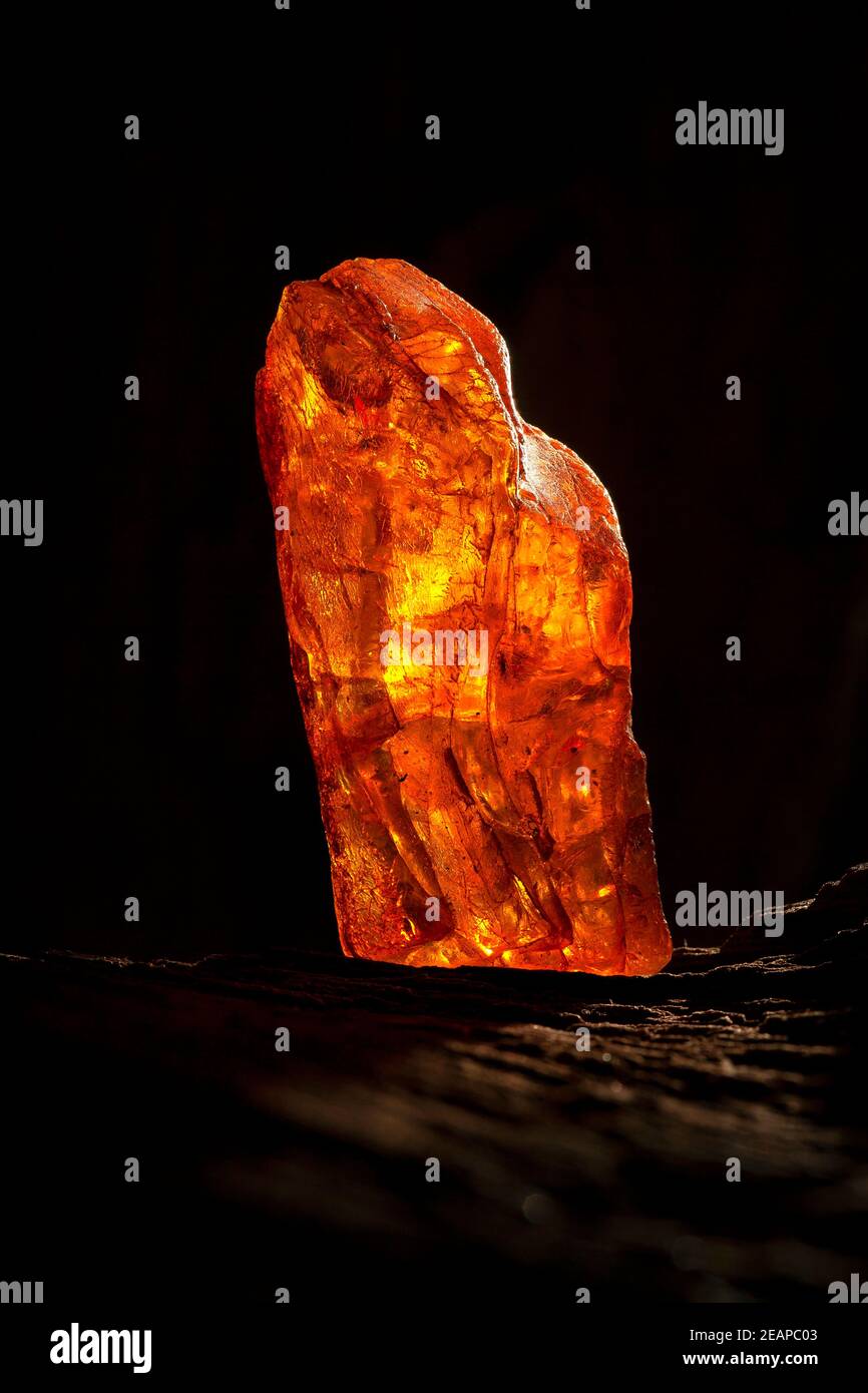 Beauty of natural raw amber. A piece of yellow-red transparent natural