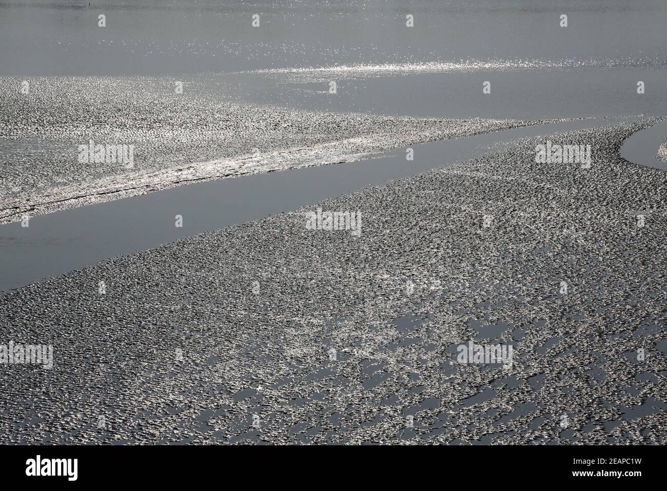 Mud beds on the river Matla during low tide the water in the Canning Town, India on February 13, 2014. Stock Photo