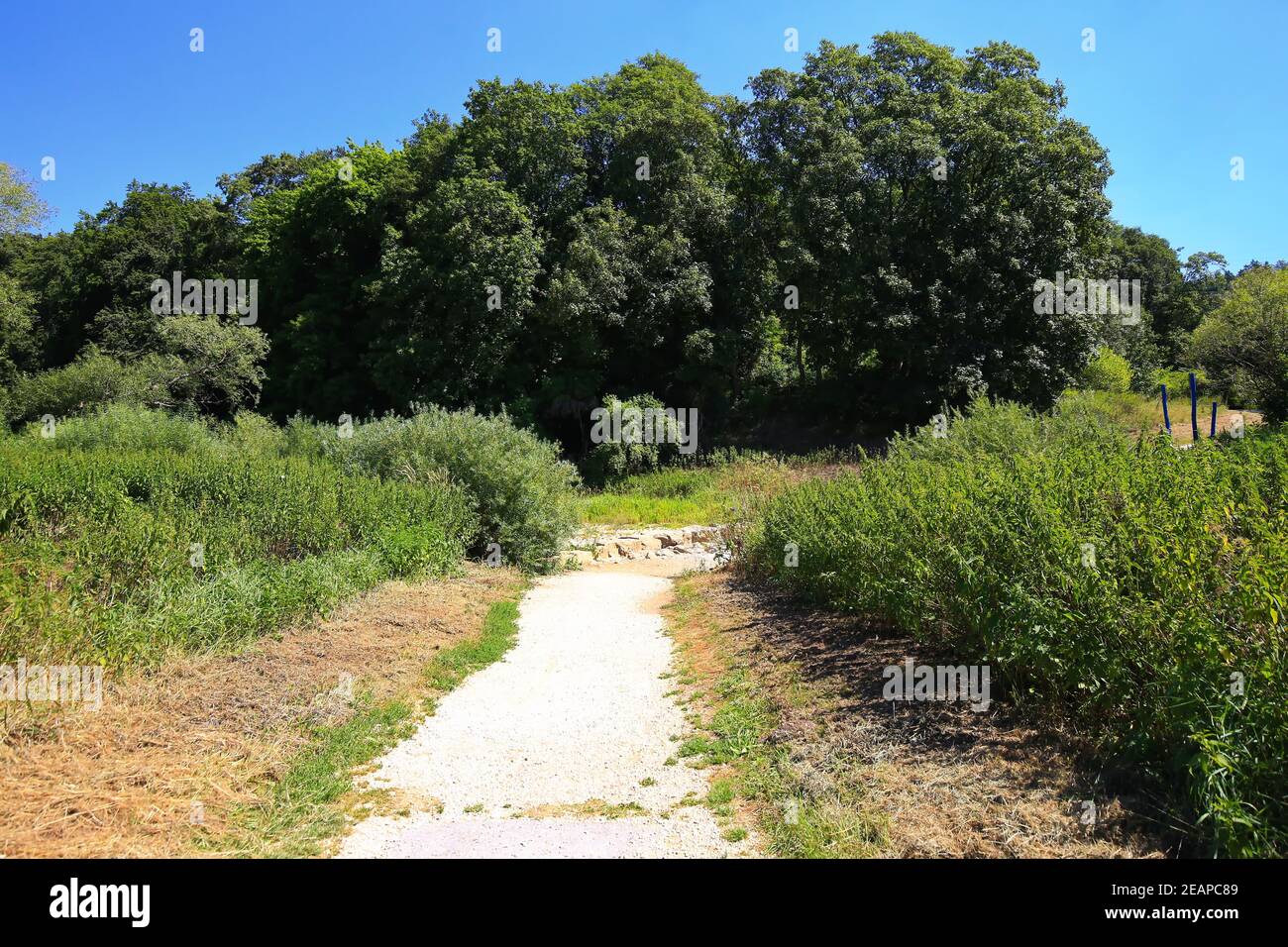 Danube infiltration near Immendingen Stock Photo