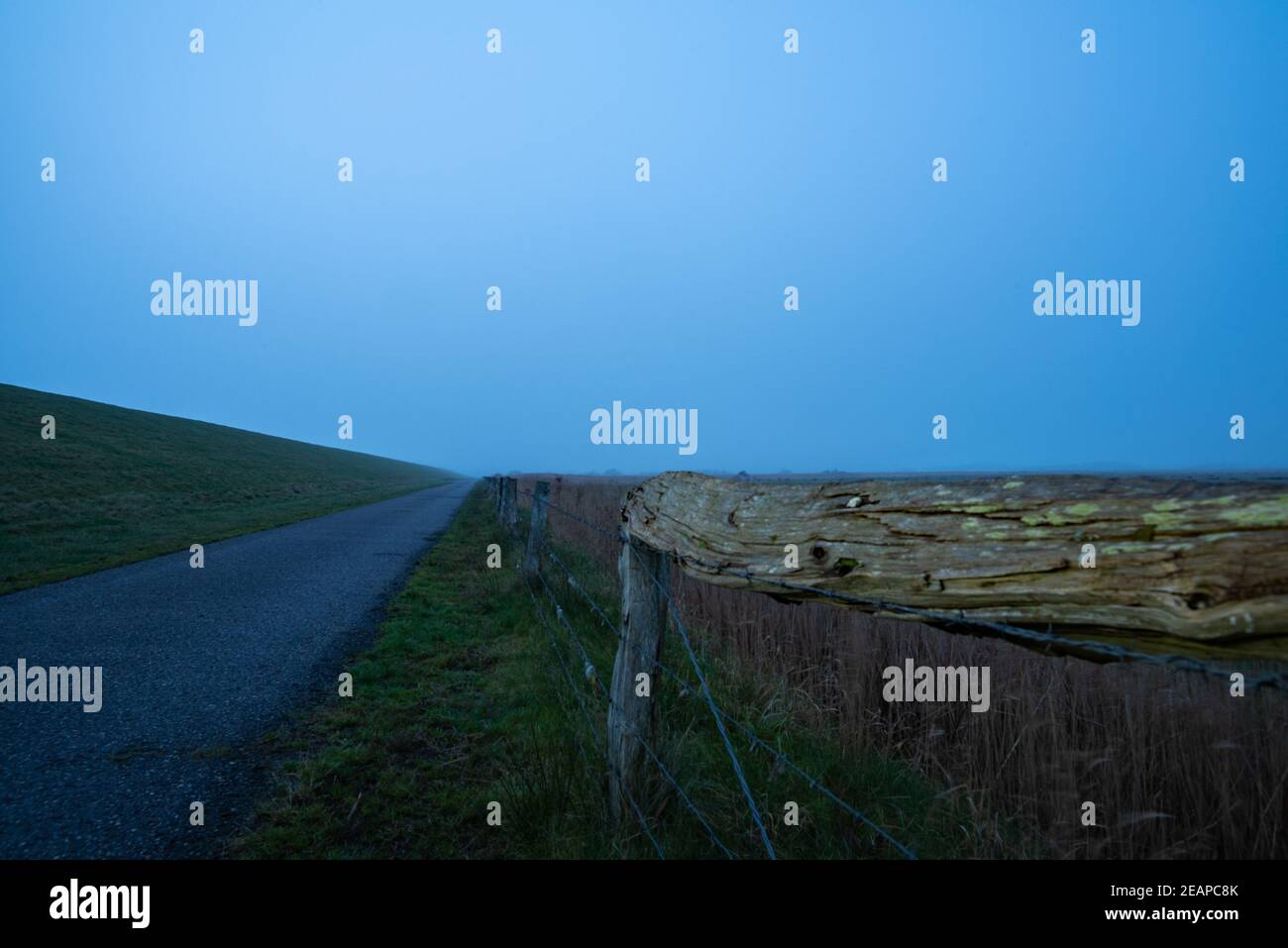 Path protection hi-res stock photography and images - Alamy