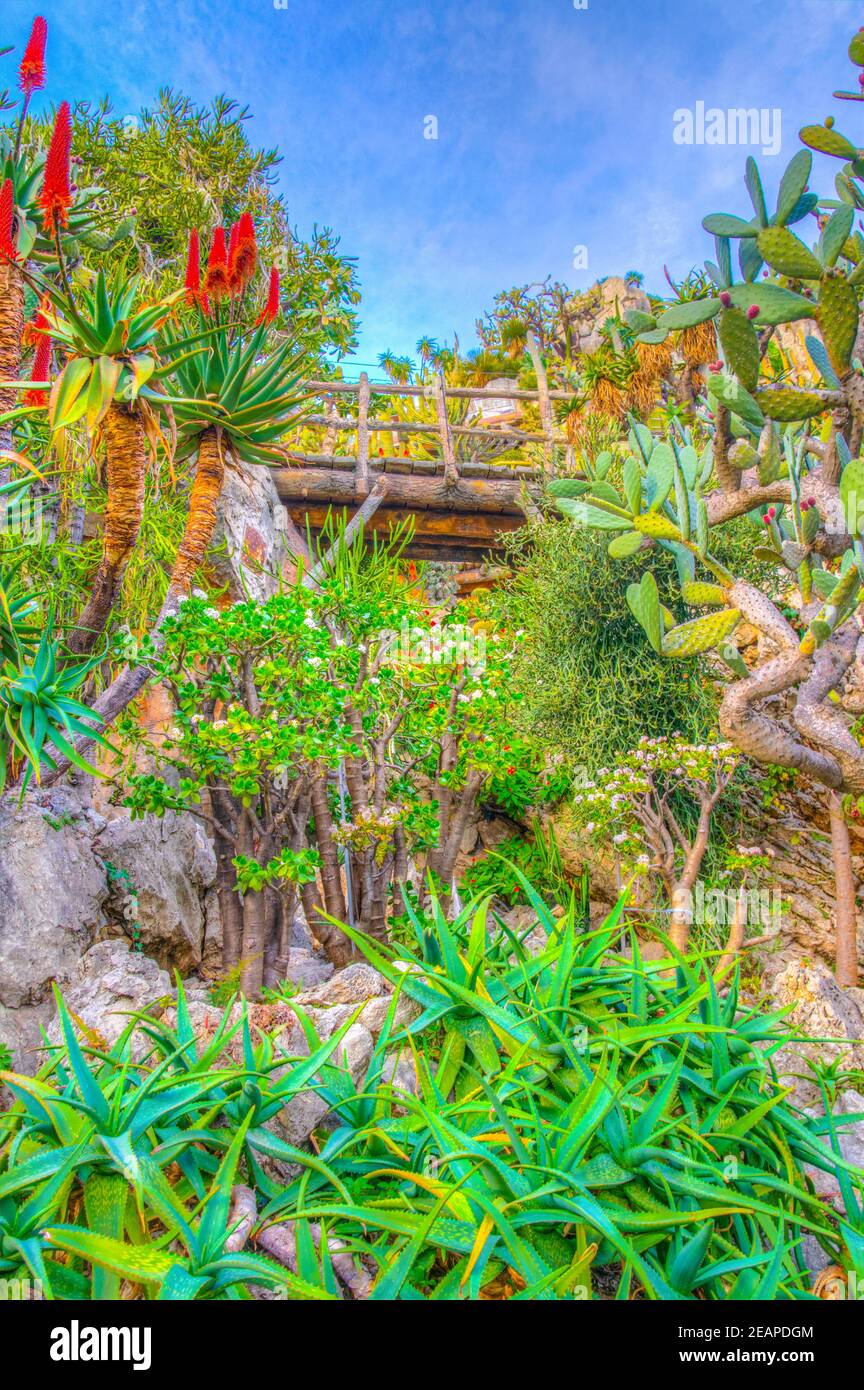 Jardin Exotique garden in Monaco Stock Photo - Alamy