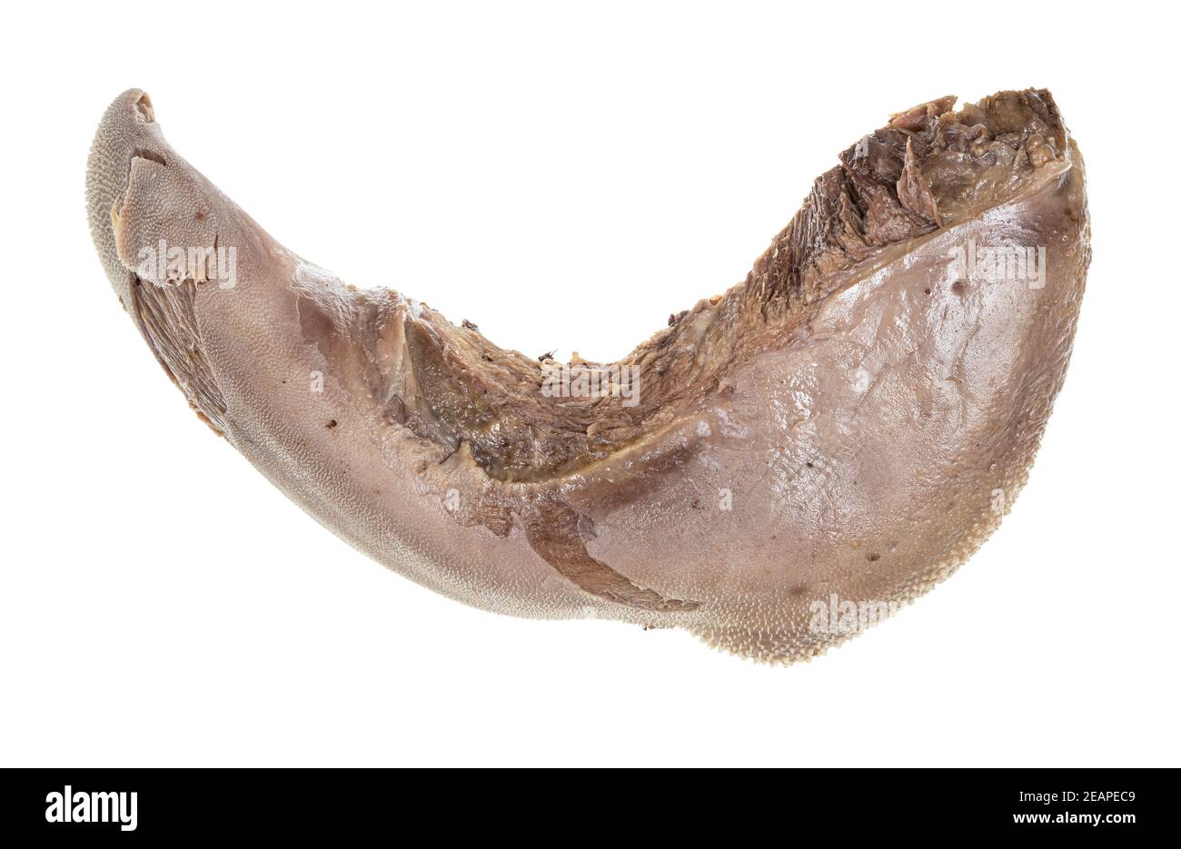 boiled beef tongue isolated on white Stock Photo