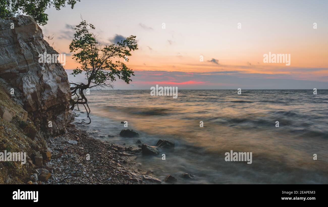 Tree on the rocky shore at sunrise Stock Photo