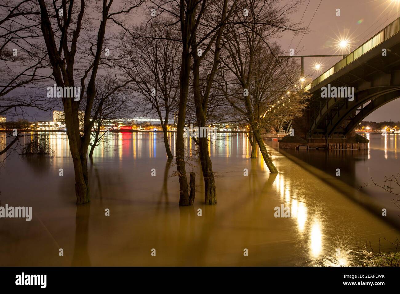 flood of the river Rhine on February 4th. 2021, the flooded meadow in