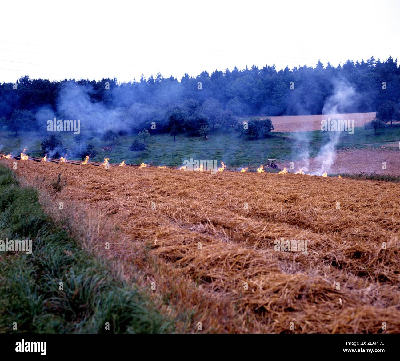 Abflammen von Feldern Stock Photo