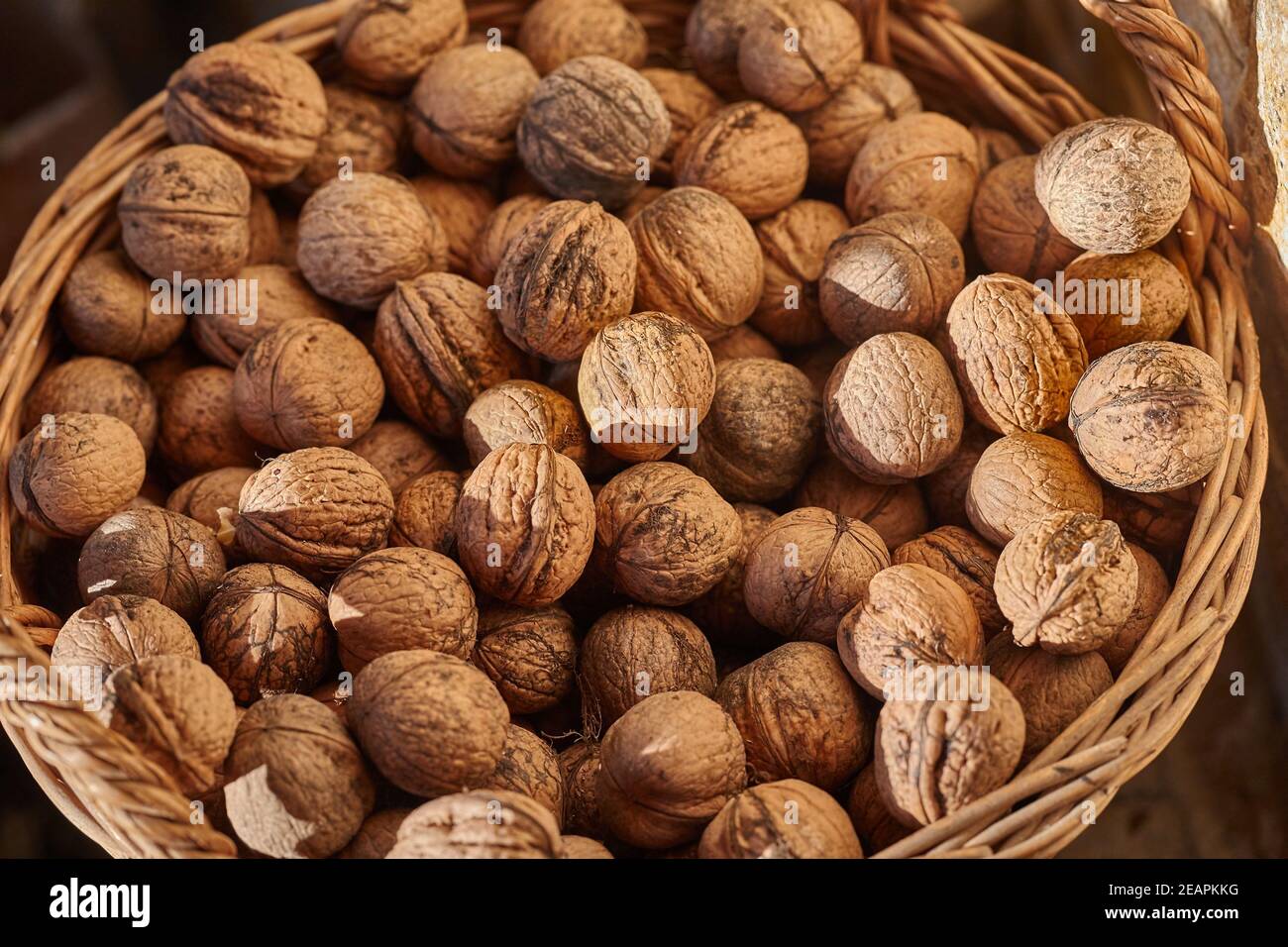 Pile shell hires stock photography and images Alamy