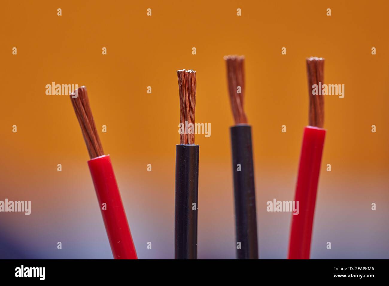 Cut Speaker Cables Stock Photo Alamy