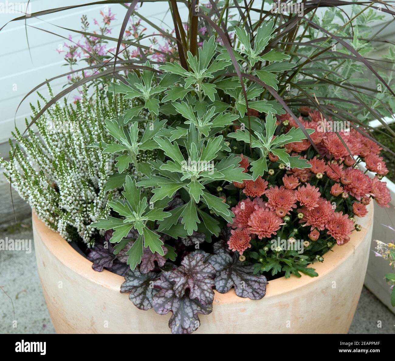 Blumenkuebel Stock Photo