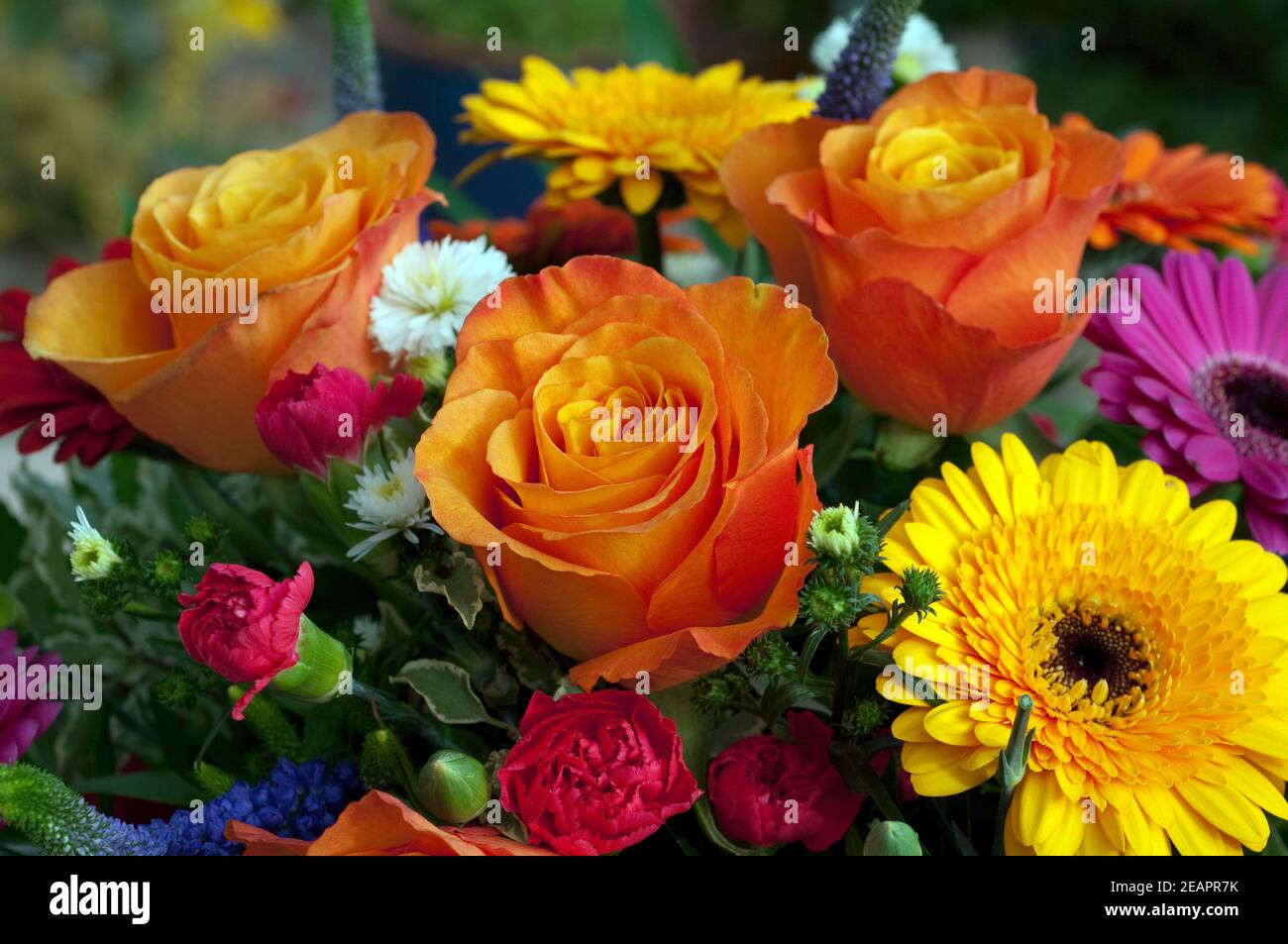 Blumenstrauss, Strauss, bunter Stock Photo