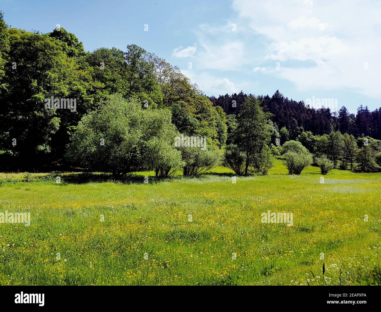 Landschaft, Wingsbach, Taunus Stock Photo