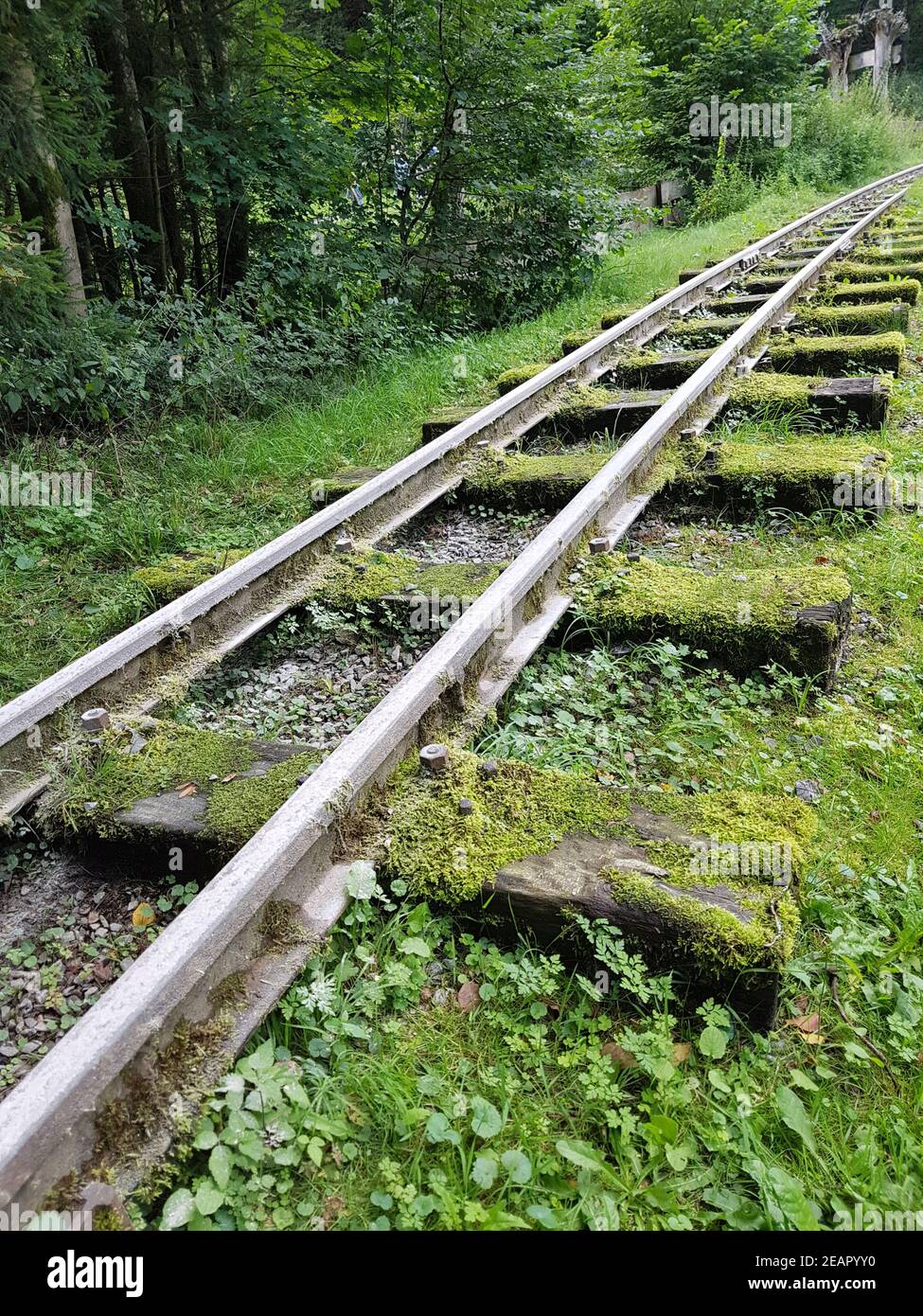 Schienen, Moorbahn, Schmalspur, Bad Schwalbach Stock Photo