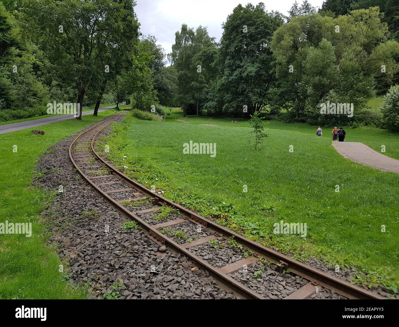Schienen, Moorbahn, Schmalspur, Bad Schwalbach Stock Photo