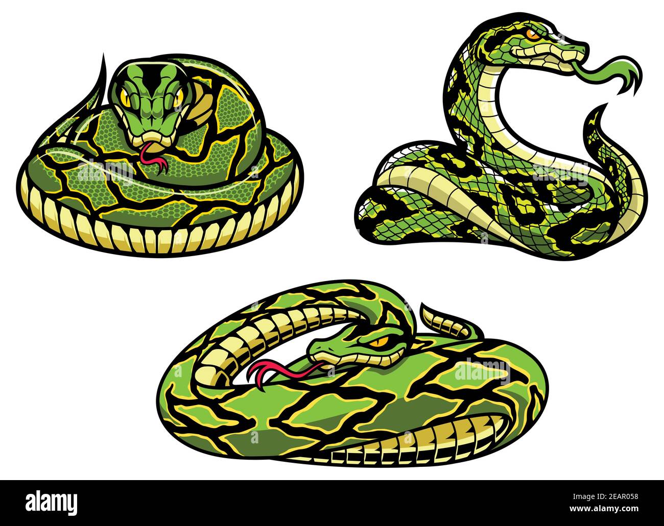 Snakes On White Stock Vector