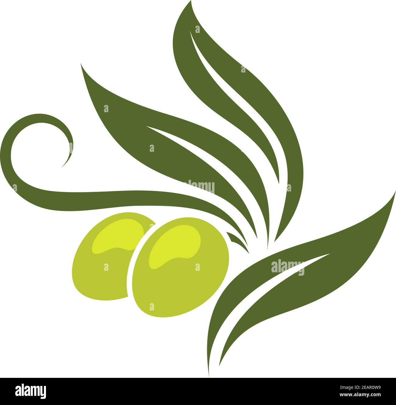 Green olives branch with leaves isolated on white background for ...