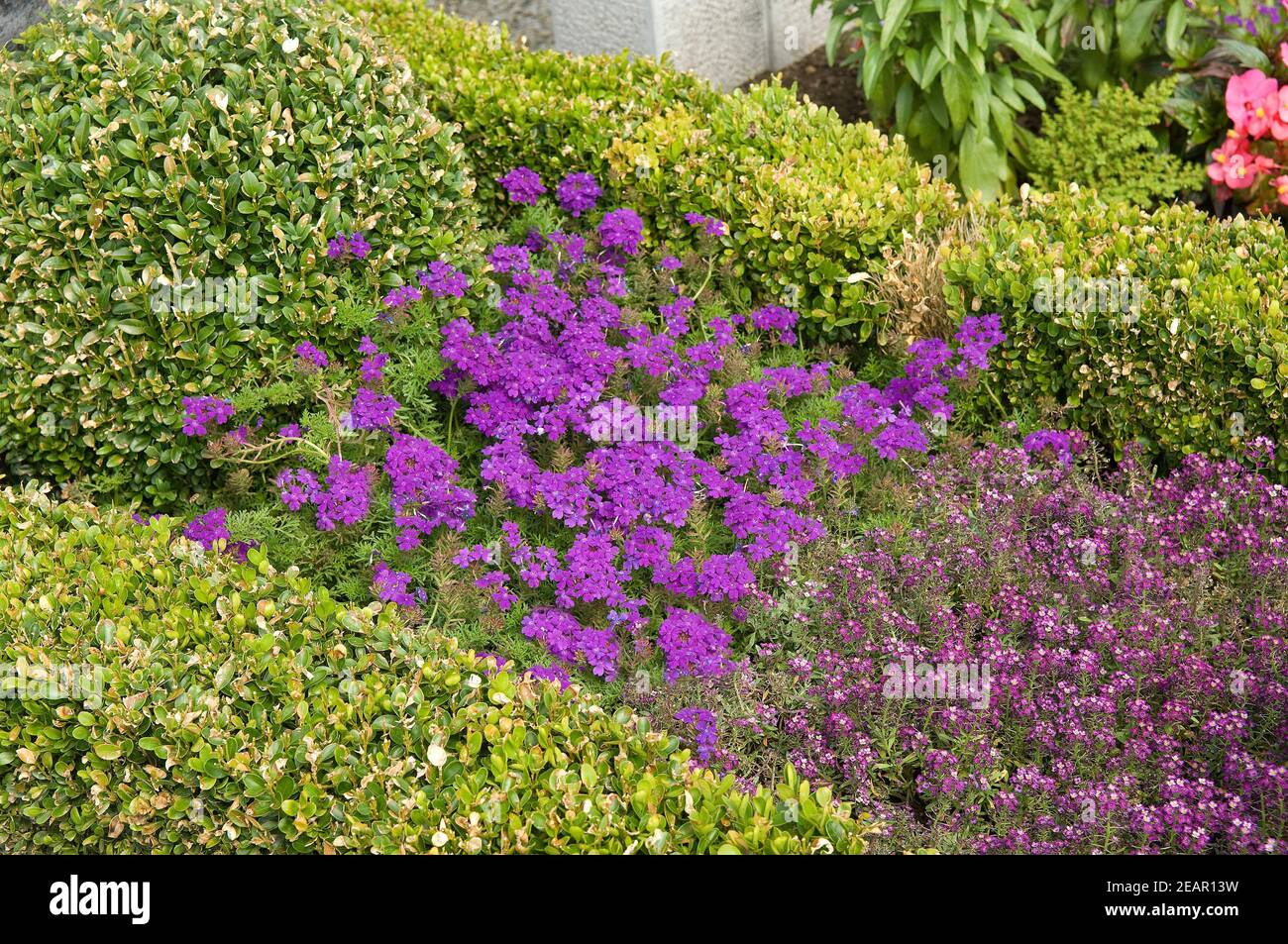 Grabgestaltung, Grabstein, Bepflanzung Stock Photo