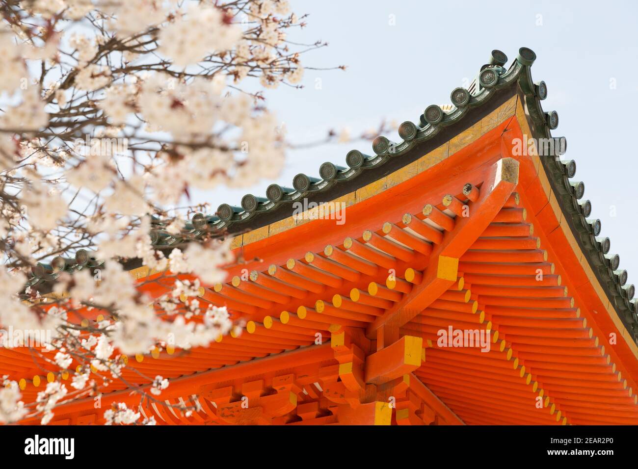 Sakura jingu shrine High Resolution Stock Photography and Images - Alamy