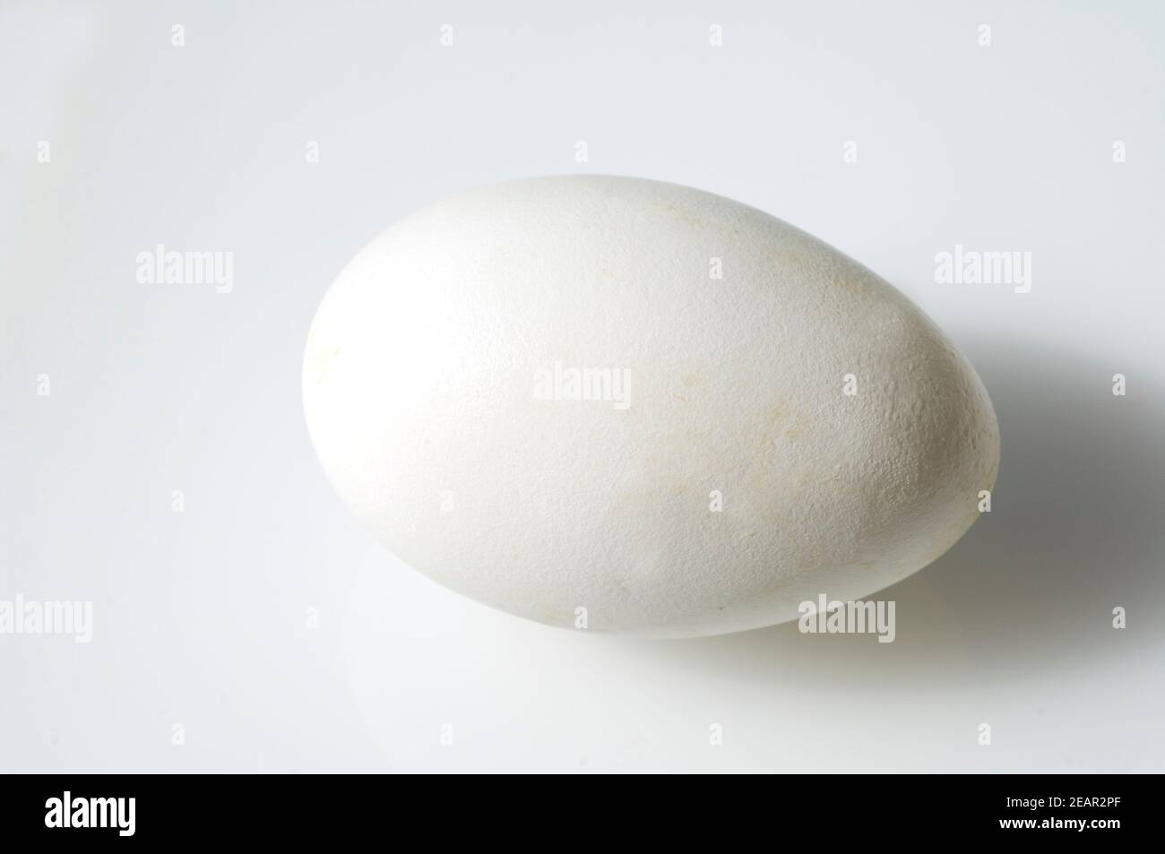 Gaenseei Stock Photo