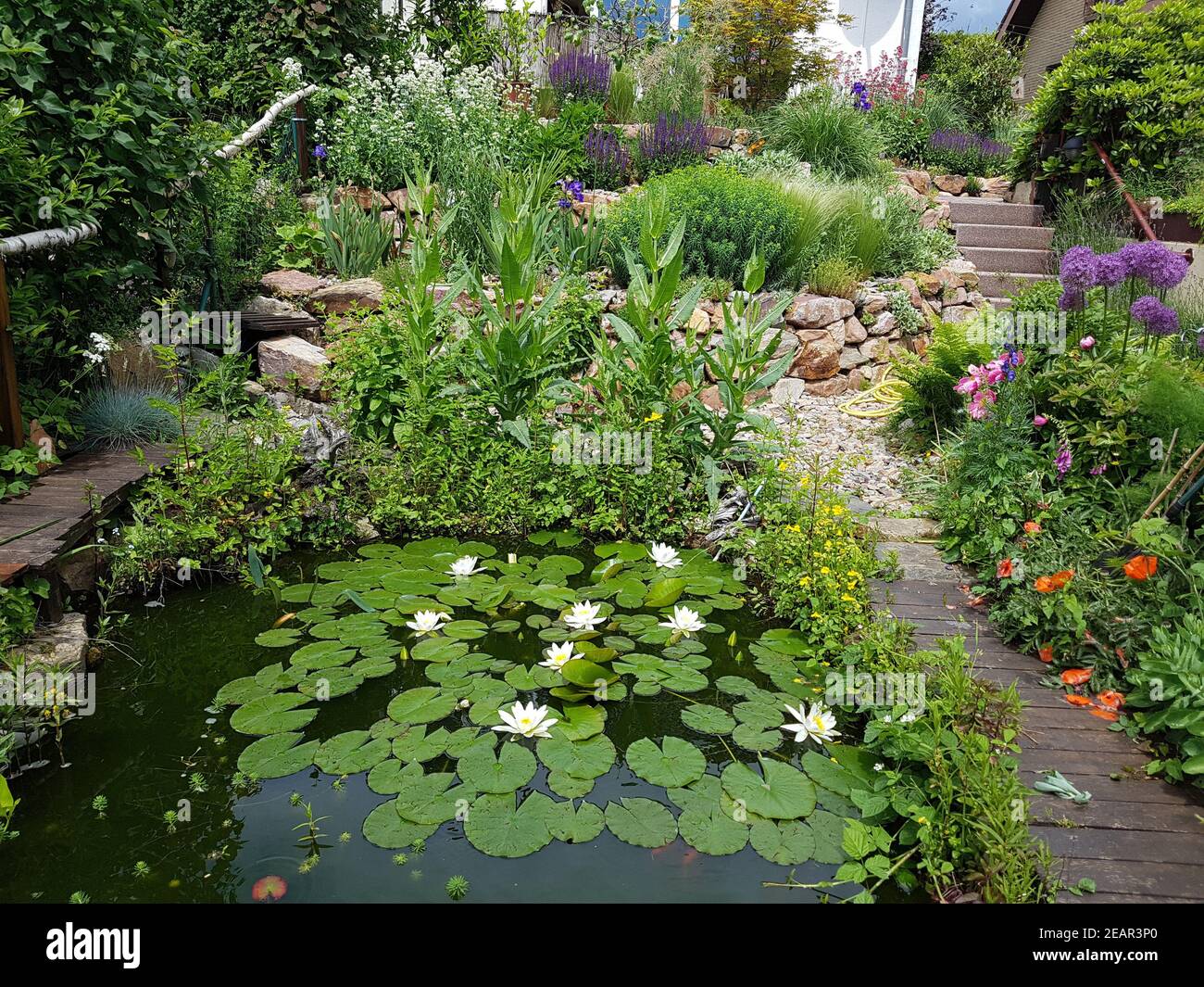 Teich seerosen hires stock photography and images Alamy