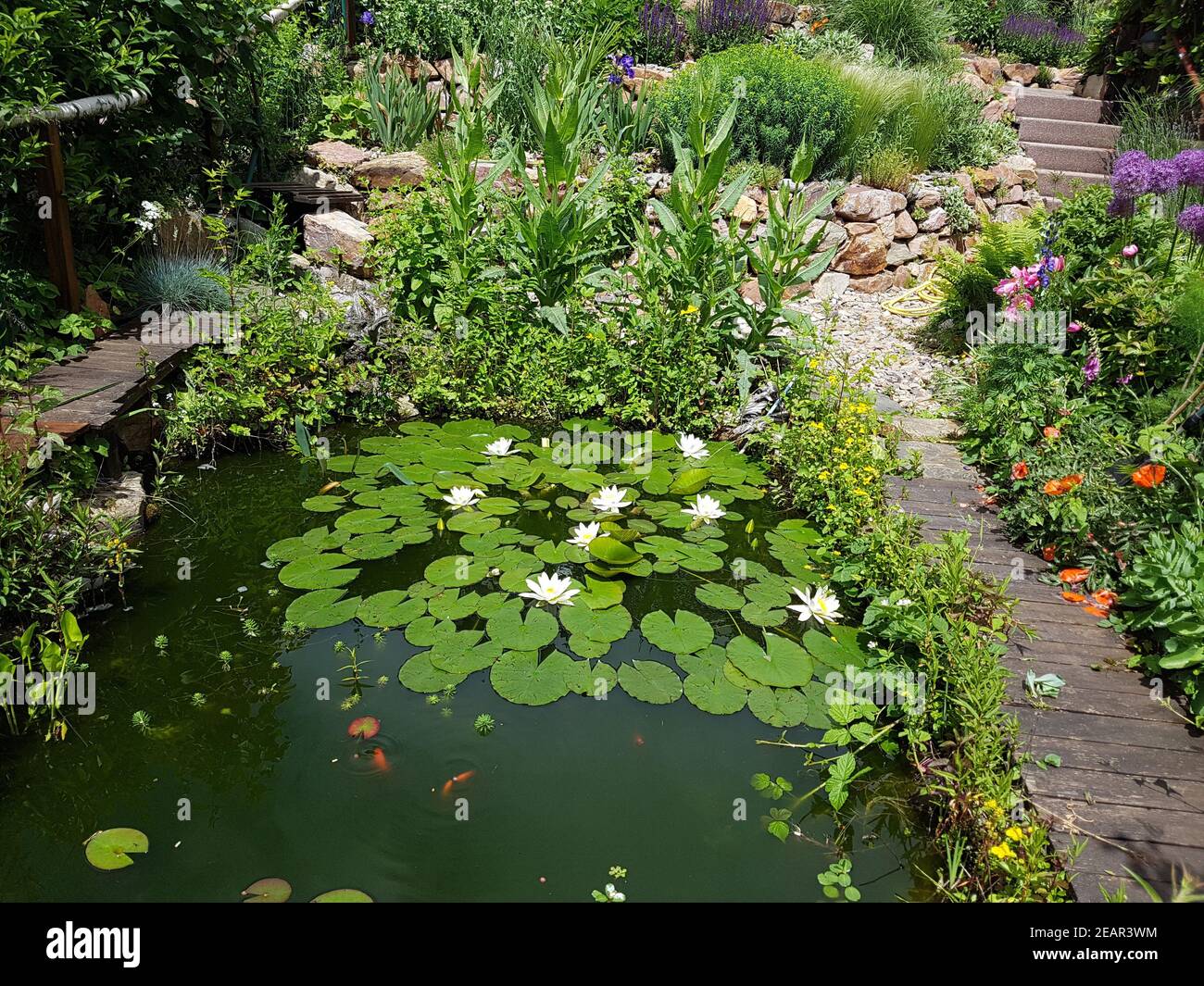 Gartenteich blumen hires stock photography and images Alamy