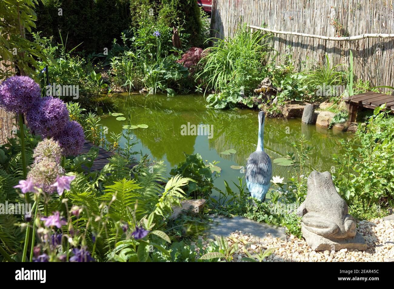 Teiche blumen hires stock photography and images Alamy