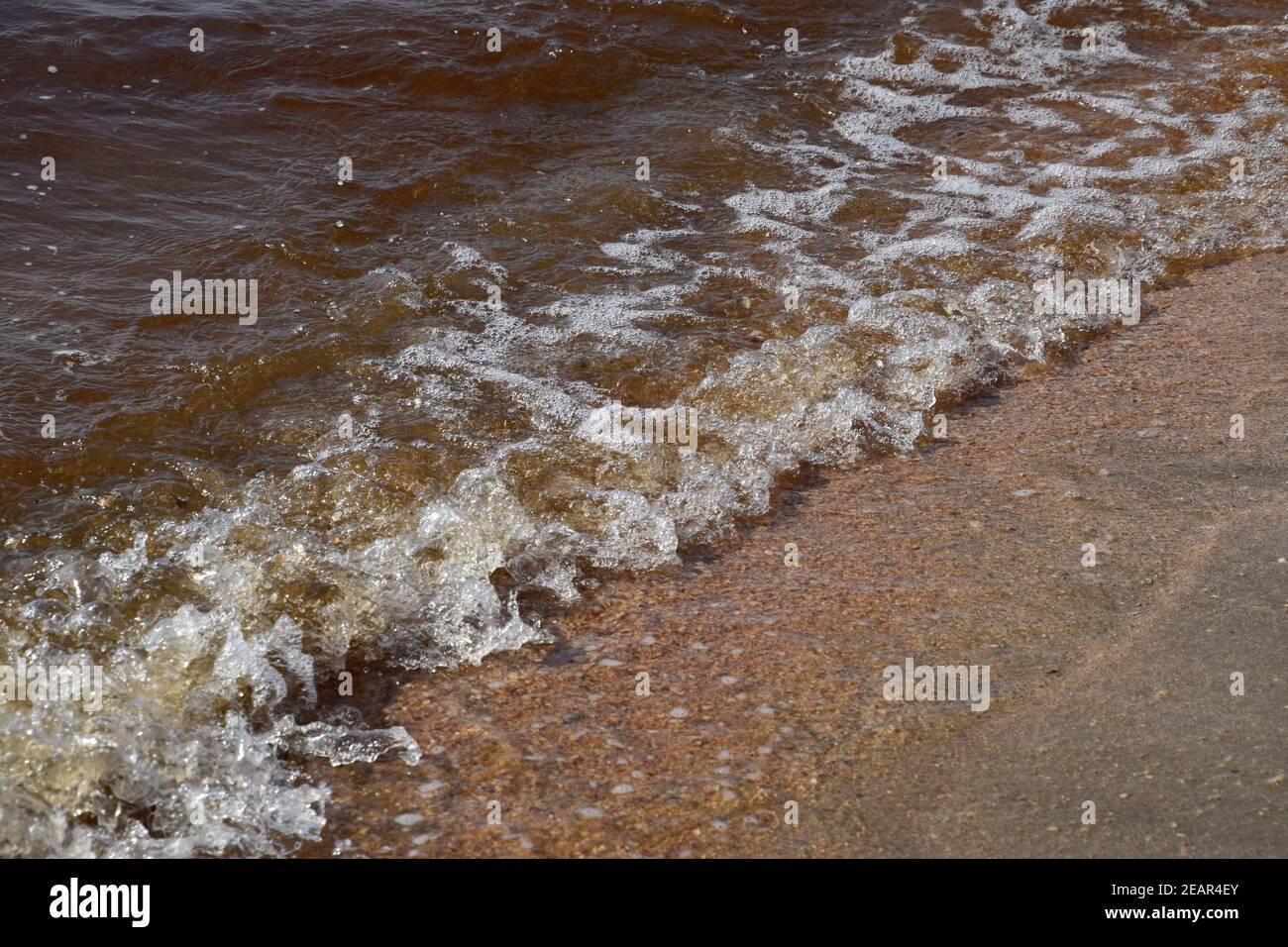 Coastal sea waves. Seawater with seaweed. Coastal algae. Sea beach. Brown water. The sea is brown. Stock Photo