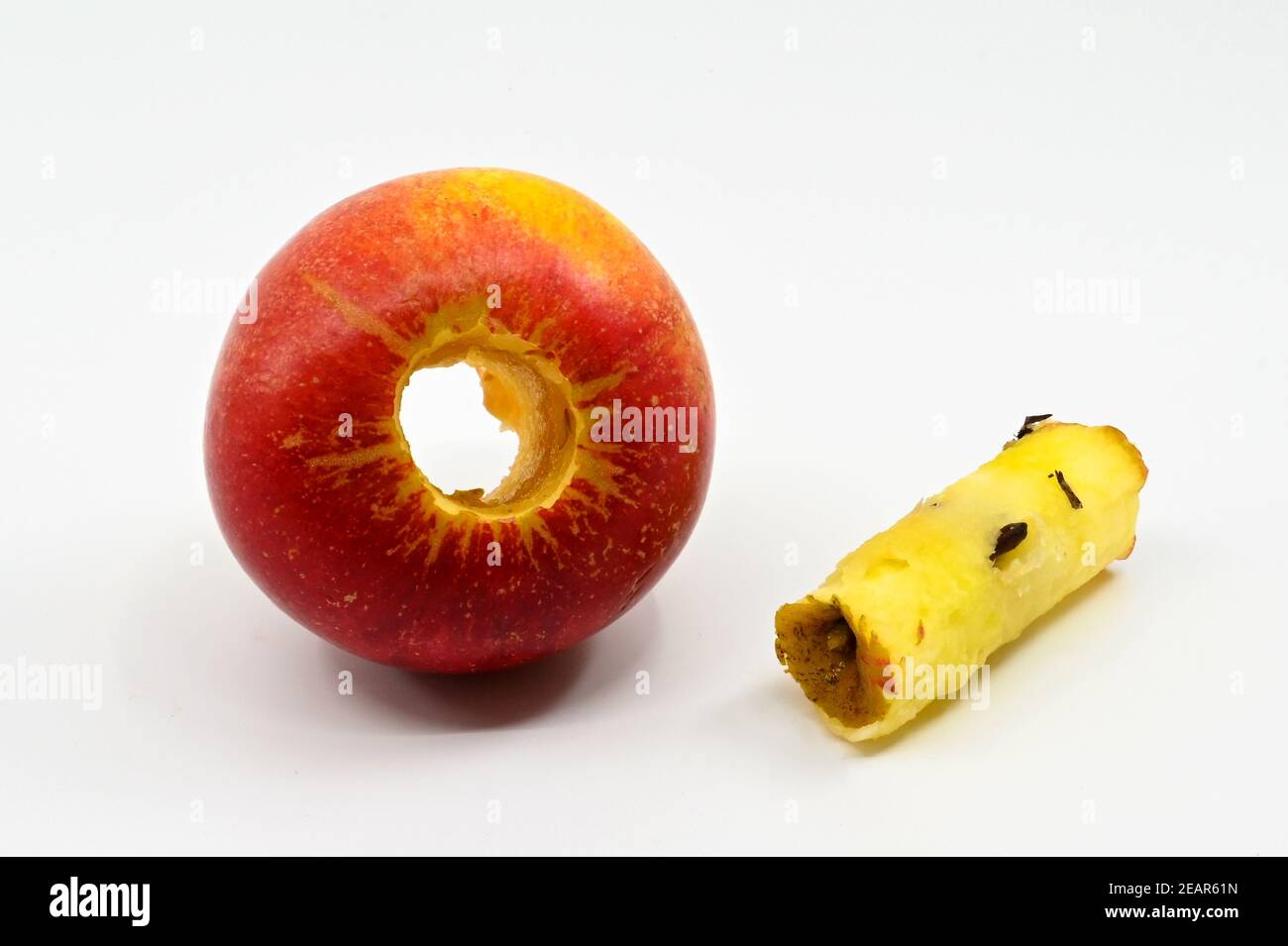 Close up of a cored apple with core alongside isolated against a plain