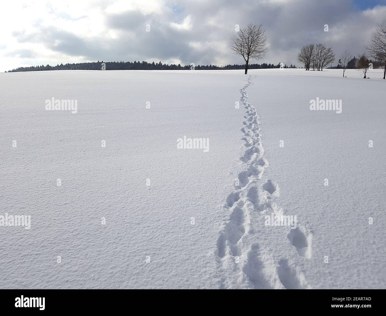 Fussspuren, Spuren, Schnee Stock Photo