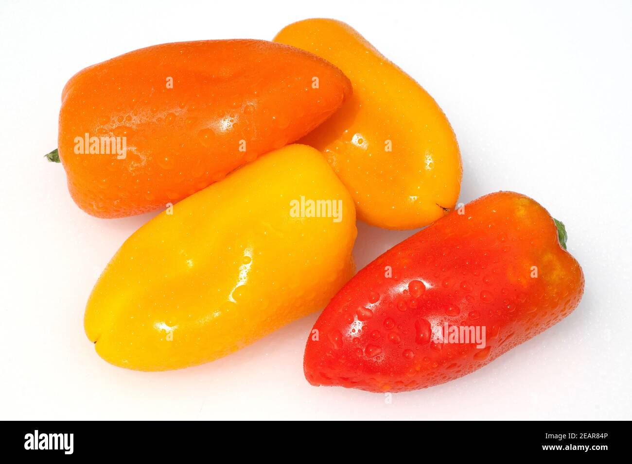 Paprika Capsicum annuum Stock Photo Alamy