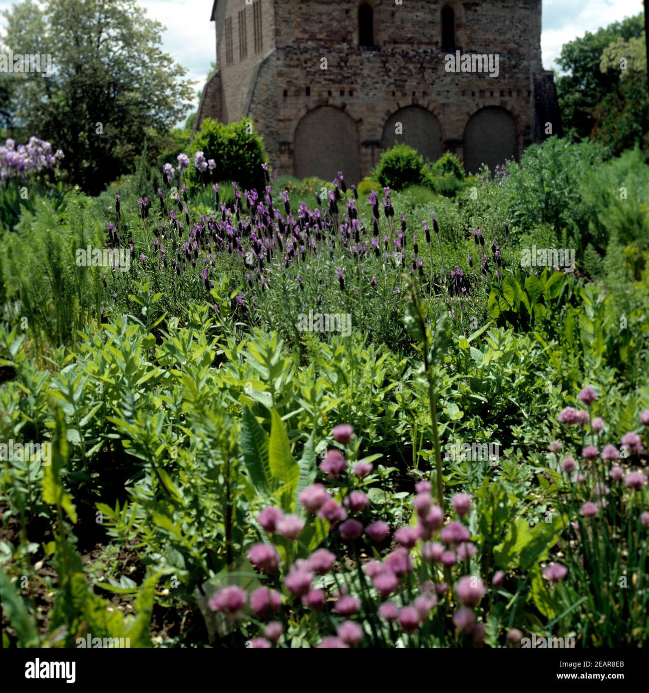 Mittelalterlicher Kraeutergarten Lorsch Stock Photo