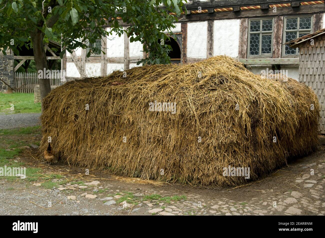 Misthaufen, Bauernhaus, Bauernhausidylle Stock Photo