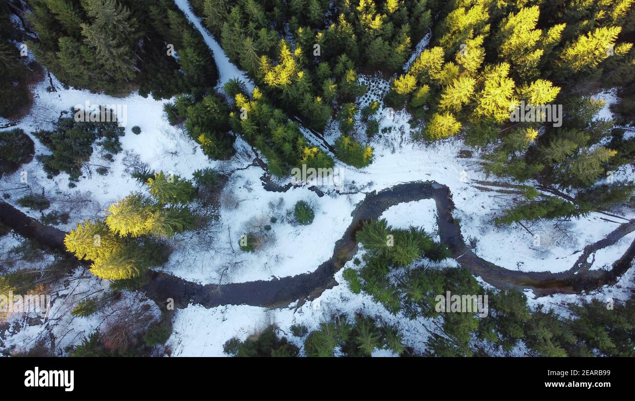 Drone photo of forest with stream in winter with light and shadow Stock Photo