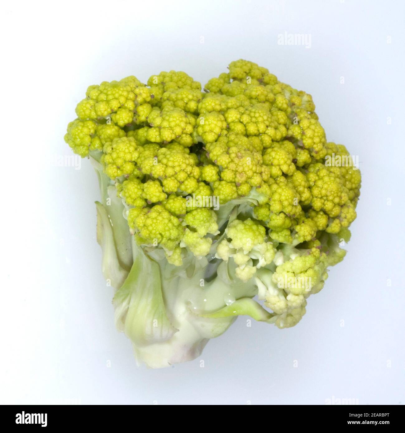 Gruener Blumenkohl, Brassica oleracea Stock Photo Alamy