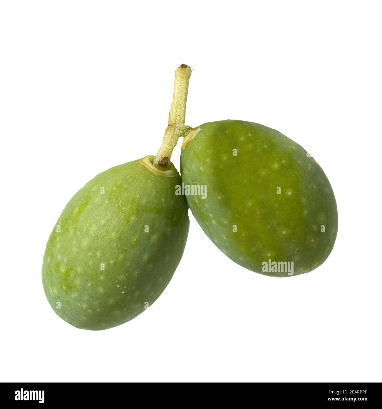 Olive tree olives garden Cut Out Stock Images & Pictures - Alamy