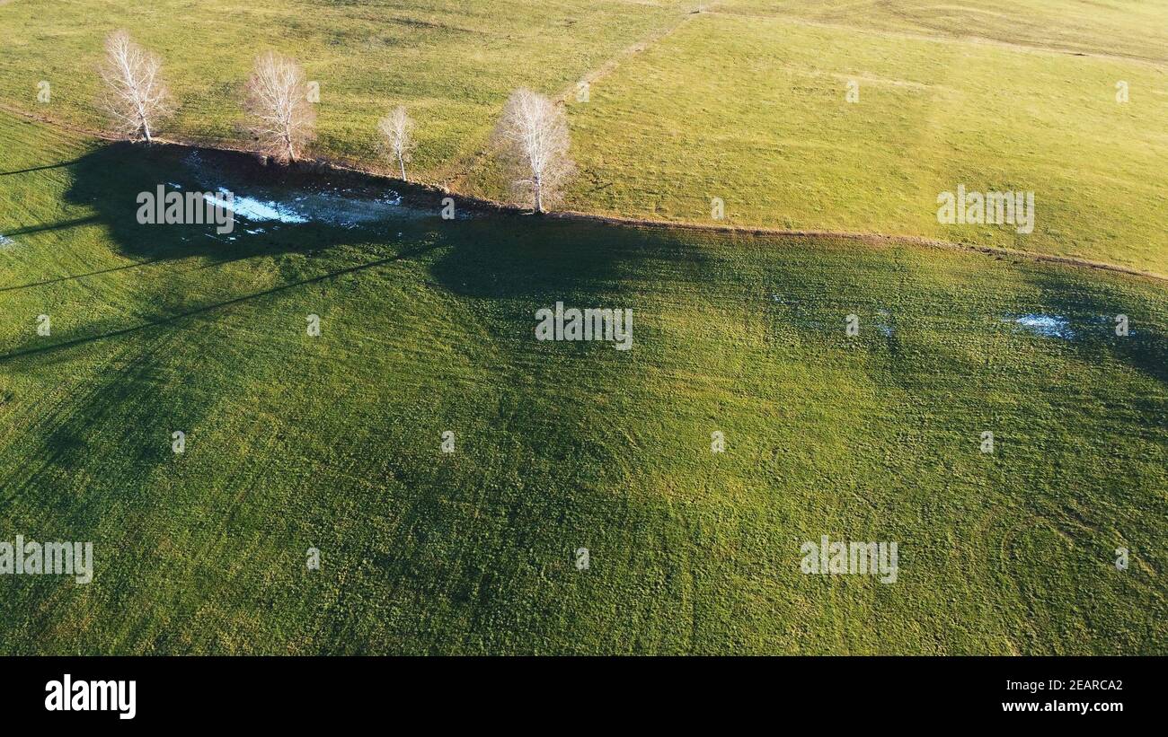 Drone photo of a meadow with trees in winter Stock Photo