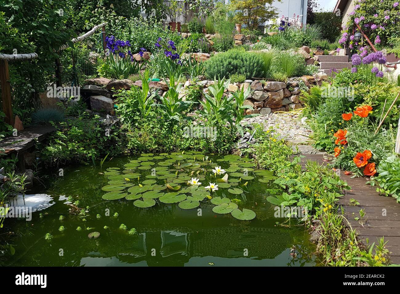 Steingarten Trockenmauer, Gartenteich Stock Photo Alamy