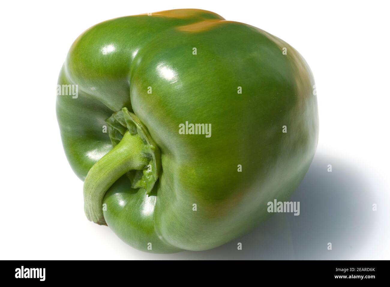Paprika Capsicum annuum Stock Photo Alamy