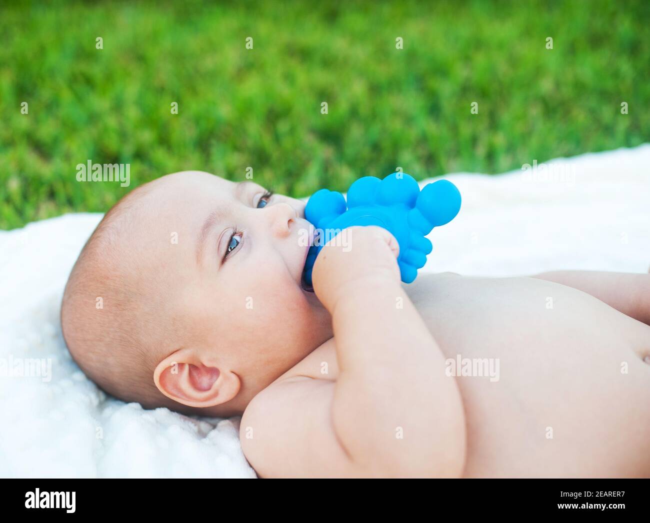The little boy chewing on a rubber toy Stock Photo
