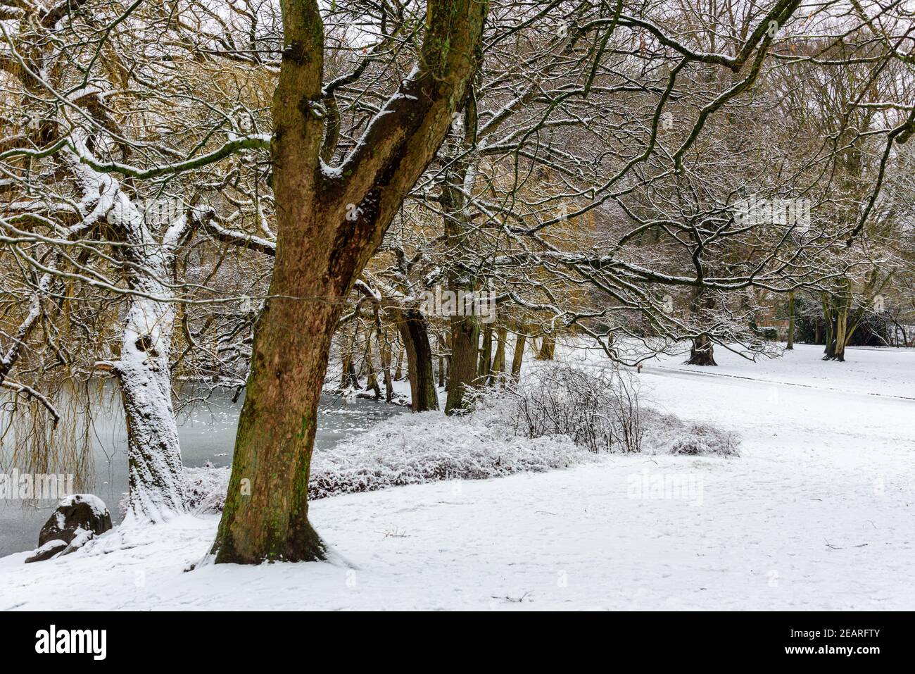 Wintereinbruch in Kiel Innenstaadt, Schrevenpark und Hiroshimapark Stock Photo