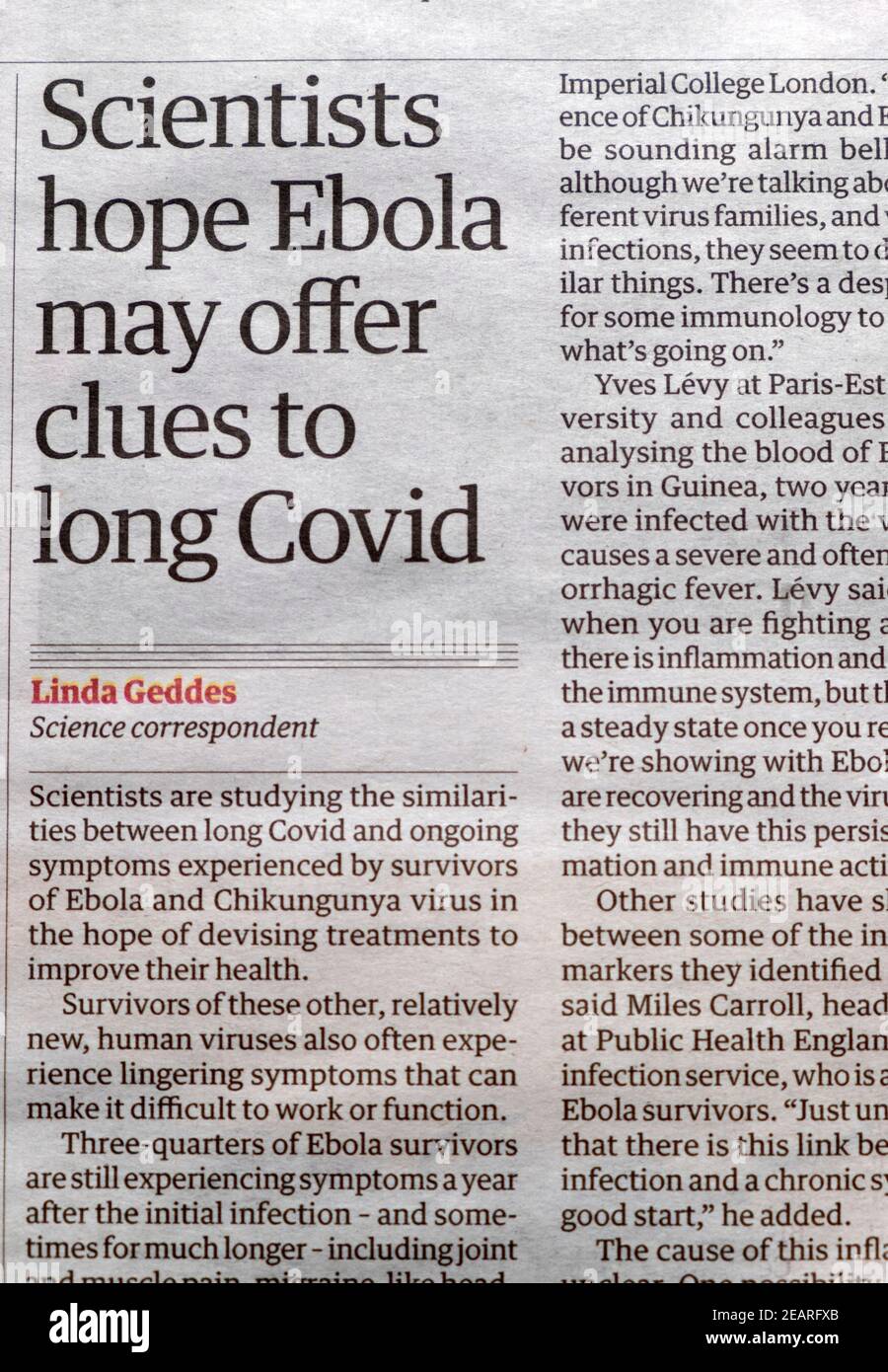 'Scientists hope Ebola may offer clues to long Covid' Guardian newspaper headline article page 29 January 2021 London UK Stock Photo